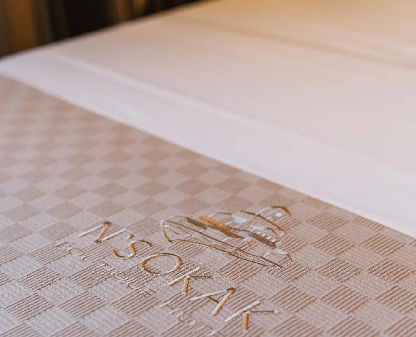 N'Sokak Boutique Hotel Gjirokastër