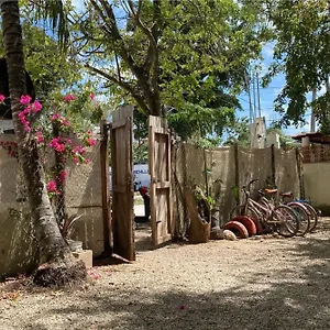 Selva - Free Bike 3* Bacalar